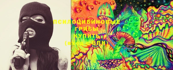 Альфа ПВП Володарск