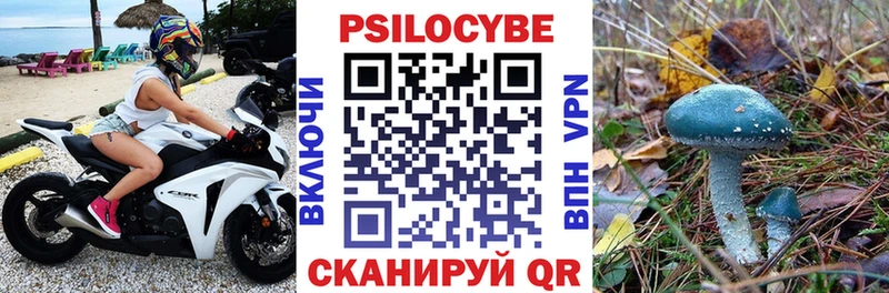 Галлюциногенные грибы прущие грибы  купить наркотики сайты  Крым 